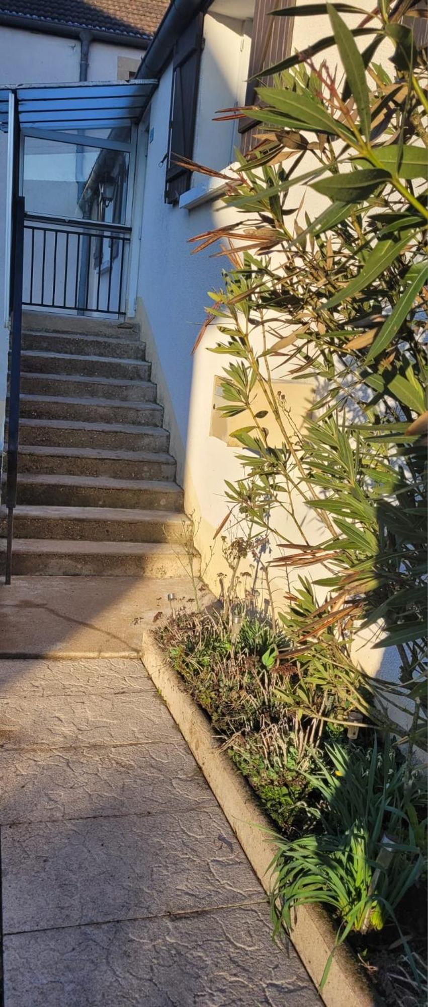 Longeau-Percey La Maison De L'Abeille De Percey מראה חיצוני תמונה